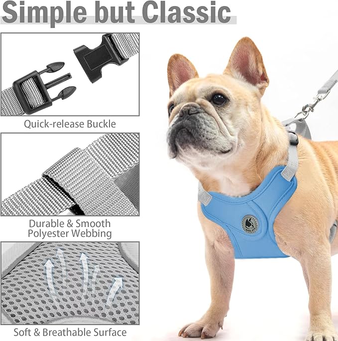 Dog Harness with Leash Set, No-Pull Pet Harness with 1 Leash Clips, Adjustable Soft Padded Pet Vest for Small Medium Dogs No Pull, Puppy Harness and Leash Set