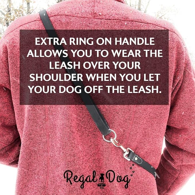 Regal Dog Products Medium Orange Waterproof Dog Collar and Leash Set | Heavy Duty Double Buckle & D Ring - 5'ft Leash | Adjustable Biothane Dog Collar | Chew Resistant Waterproof Collar for Dogs