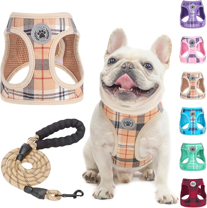 BEAUTYZOO Small Dog Harness and Leash Set,Step in No Choke No Pull Soft Mesh Dog Harnesses Reflective for Extra-Small/Small Medium Puppy Dogs and Cats, Plaid Dog Vest Harness for XS S Pets, Beige L