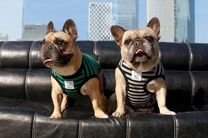 iChoue 2pcs French Bulldog Striped Shirts 100% Breathable Cotton Tank Tops Vests Clothes for Frenchie Dogs, Black and Green Stripes, Large