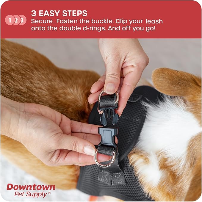 Downtown Pet Supply Step in Dog Harness for Teacup Dogs & Cats No Pull, XX-Small, Charcoal - Adjustable Harness with Padded Mesh Fabric and Reflective Trim - Buckle Strap Harness for Dogs