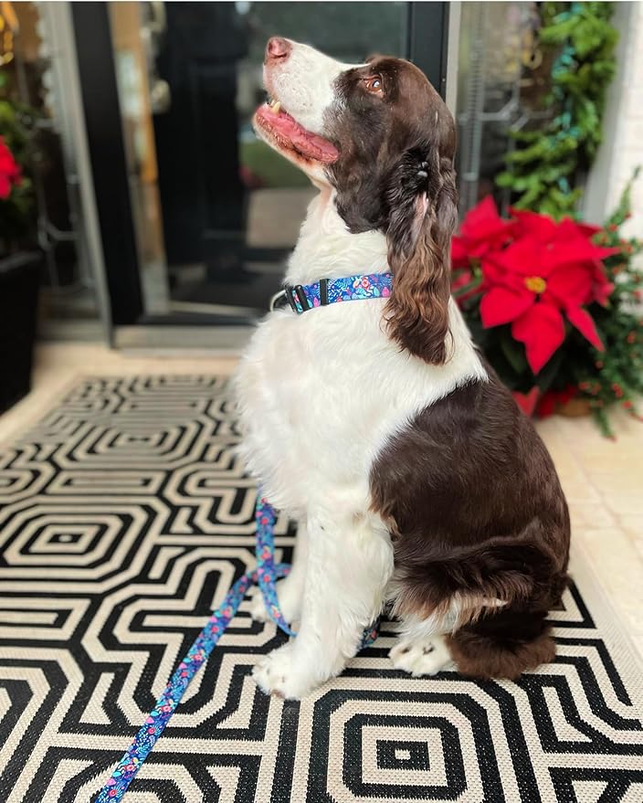 Lucky Love Dog - Adjustable Collar and Leash Set with Easy Click Buckle for Small to Large Dogs, Durable, & Comfortable Collar for Male & Female Dogs, Puppies & Adult - Sweet Holiday Combo, Medium