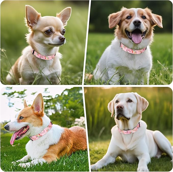 Timos Dog Collar, Adjustable Soft Dog Collar for Small Medium Large Dogs, Patterned Puppy Collars with Quick Release Buckle for Boy and Girl Female Dogs,XS Length 8.5''-11''