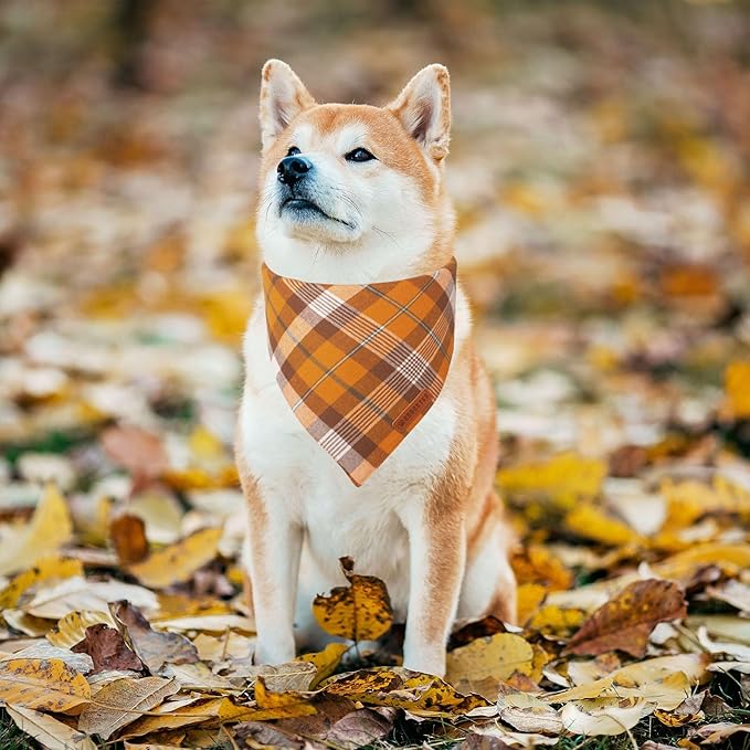 ADOGGYGO Fall Dog Bandanas 2 Pack, Halloween Thanksgiving Holiday Pet Scarf, Multiple Sizes Offered, Orange Plaid Fall Bandana for Medium Large Dogs (Large)