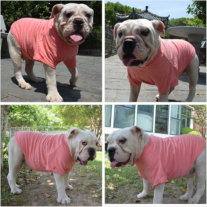 Lovelonglong Pet Clothing Dog Costumes Basic Blank T-Shirt Tee Shirts for Medium Large Dogs Lotus Pink XXL+