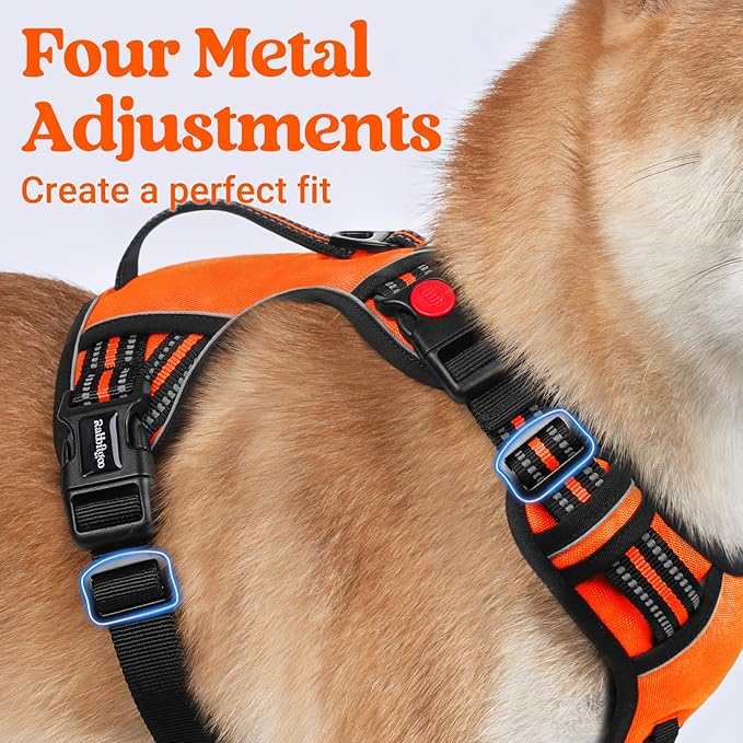 rabbitgoo Dog Harness for Large Dogs, No Pull Pet Harness with Soft Padded Handle, Adjustable Reflective Vest with 3 Buckles, Easy Walking Harness with 2 Leash Clips, Orange, M