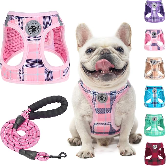 BEAUTYZOO Small Dog Harness and Leash Set,Step in No Choke No Pull Soft Mesh Dog Harnesses Reflective for Extra-Small/Small Medium Puppy Dogs and Cats, Plaid Dog Vest Harness for XS S Pets, Pink M