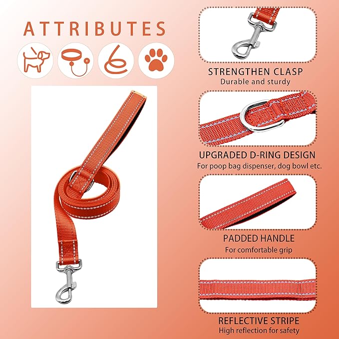 Reflective Dog Collar with Safety Locking Buckle, Adjustable Soft Breathable Nylon Collars for Small, Medium and Large Dogs(Collar+Leash XS Width 5/8" Orange)