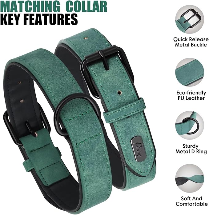 Didog Soft Padded Leather Dog Collar and Leash Set, Heavy Duty Dog Lead and Collar Set with Metal Buckle, Breathable Pet Collars with 4FT Leather Leash for Small Medium Dogs, Green, M
