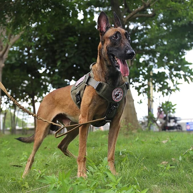 ICEFANG Tactical Dog Harness,Large Size, 2X Metal Buckle,Working Dog MOLLE Vest with Handle,No Pulling Front Leash Clip,Hook and Loop Panel