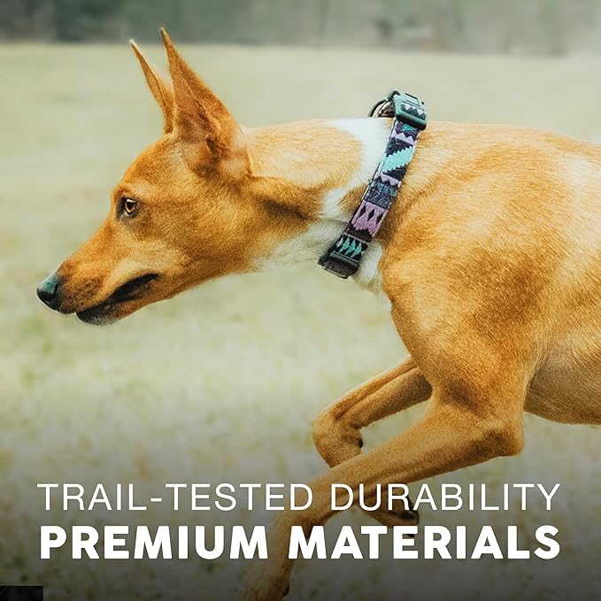 Embark Adventure Dog Collar – Stylish & Durable Nylon Dog Collars for Large Dogs, Comfortable Pet Collar, Collars for Large Breed Dogs with Strong Buckles. Adjustable Big Dog Collars for Large Dogs