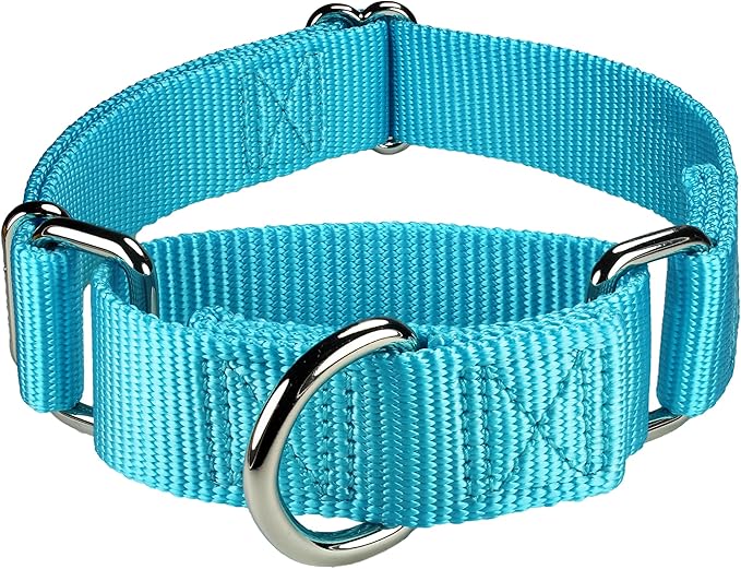 Mikivery Martingale Dog Collar Nylon Adjustable and Safety Training Colourful Comfortable Metal Buckle Pet Collars for Small Medium and Large Dogs(Ice Blue,M)