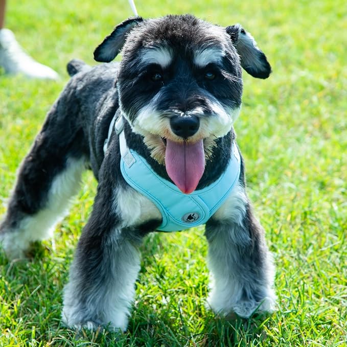 Dog Harness with Leash Set, No-Pull Pet Harness with 1 Leash Clips, Adjustable Soft Padded Pet Vest for Small Medium Dogs No Pull, Puppy Harness and Leash Set