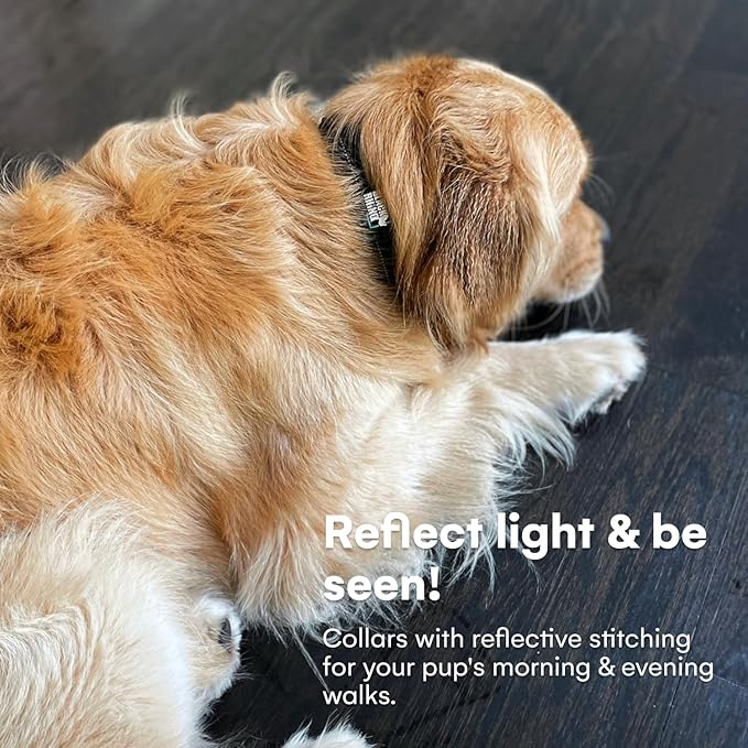 Black Rhino Extra Large Dog Collar - Adjustable Reflective Heavy Duty Dog Collars with Ultra-Soft Neoprene Padding - Weatherproof, Durable, and Comfortable - Ideal for Active Dogs - Black