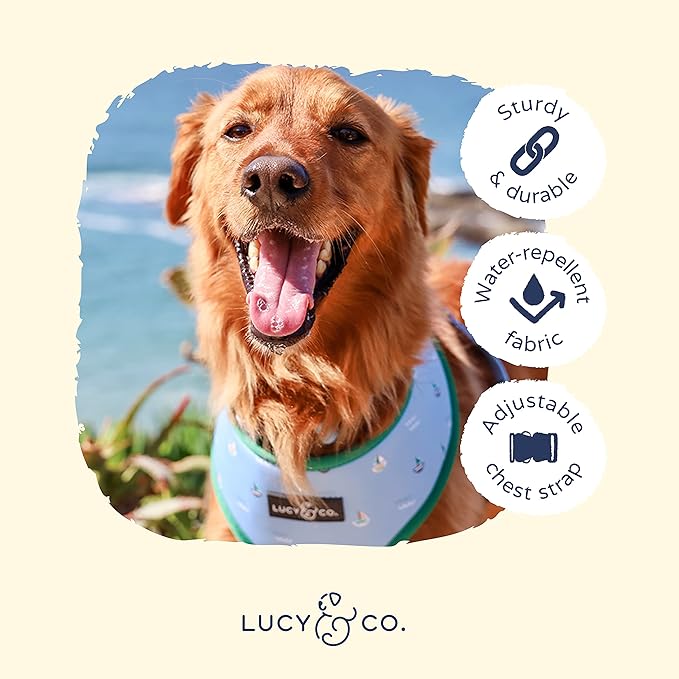 Lucy & Co. Set Sail Reversible Harness, Walking Halter - Best Designer Pet Harnesses for Medium Dogs - Padded Adjustable Vest for Easy Walking, Medium, Blue & White Stripes & Sailboats