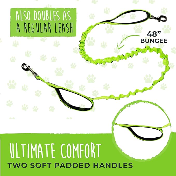 Mighty Paw Hands Free Dog Leash | Bungee Waist Leash for Dog Walking. Pet Running Hands Free Tether for Large, Medium & Small Breeds. Pet Waist Belt (36" - 48") Up to 150 lbs - Green