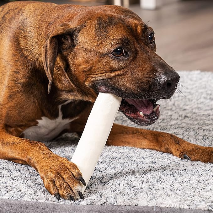 Pet Factory 100% Made in USA Beefhide 8" Rolls Dog Chew Treats - Natural Flavor, 10 Count/1 Pack