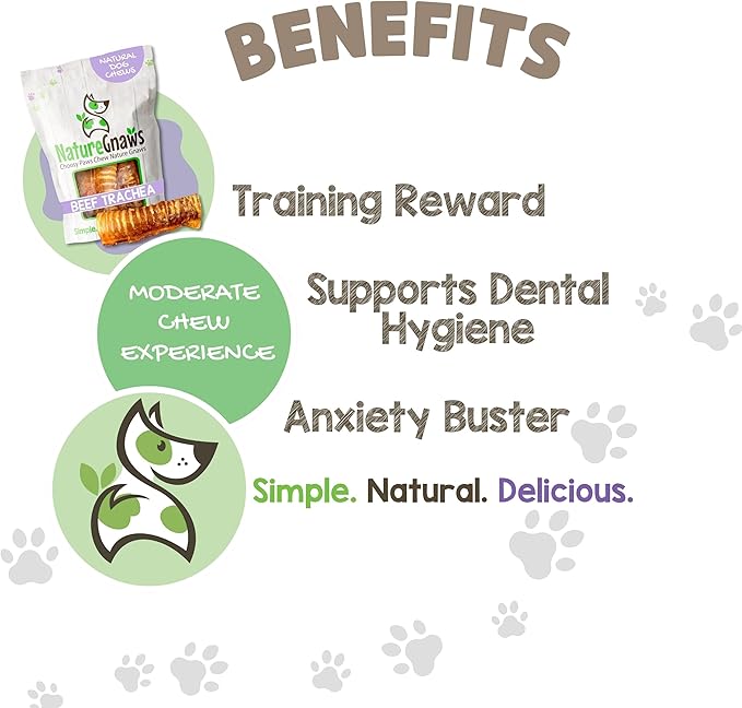 Nature Gnaws Beef Trachea Chews for Dogs 6" (6 Count) - Long Lasting Natural Crunchy Dog Chew Bones - Rawhide Free (Pack of 2)