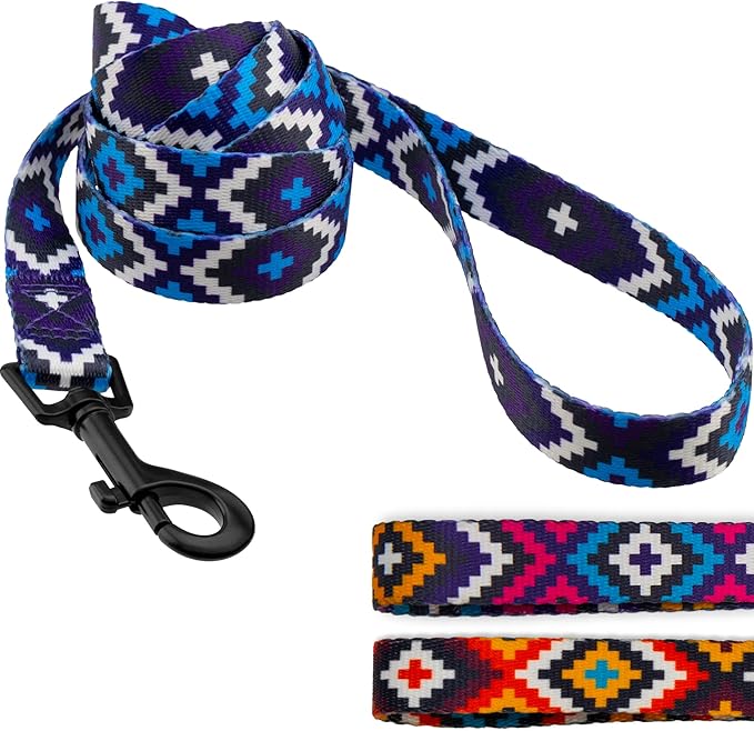 CollarDirect Aztec Dog Leash Nylon Tribal Pattern Cat Pet Leashes for Small Medium Large Dogs Puppy Lead 5 FT Long for Walking (Pattern 2, M, New)