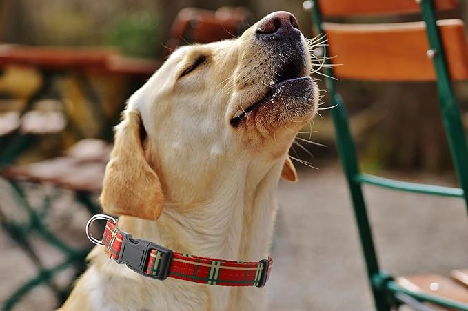 Dog Collar, Cute Stripe Pattern, Soft and Adjustable Collar with Quick Release Buckle (L (Neck 16-28", Width 1"), Stripe Red)