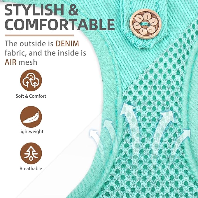 PUPTECK Dog Harness and Leash Set for Small Medium Dogs No Pull Step-in Soft Mesh Puppy Cat Vest Harnesses Reflective at Night, Denim Green XS