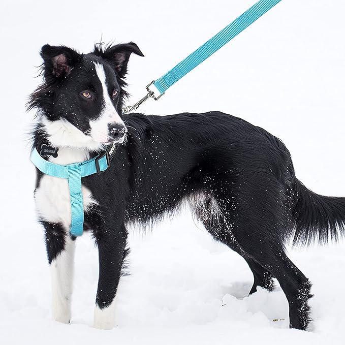 No Pull Dog Harness - Adjustable Step-in Harness & Leash Set for Small, Medium, Large Dogs - Escape Proof Soft Pet Harness for Walking, Training, Hiking, Outdoor Activities