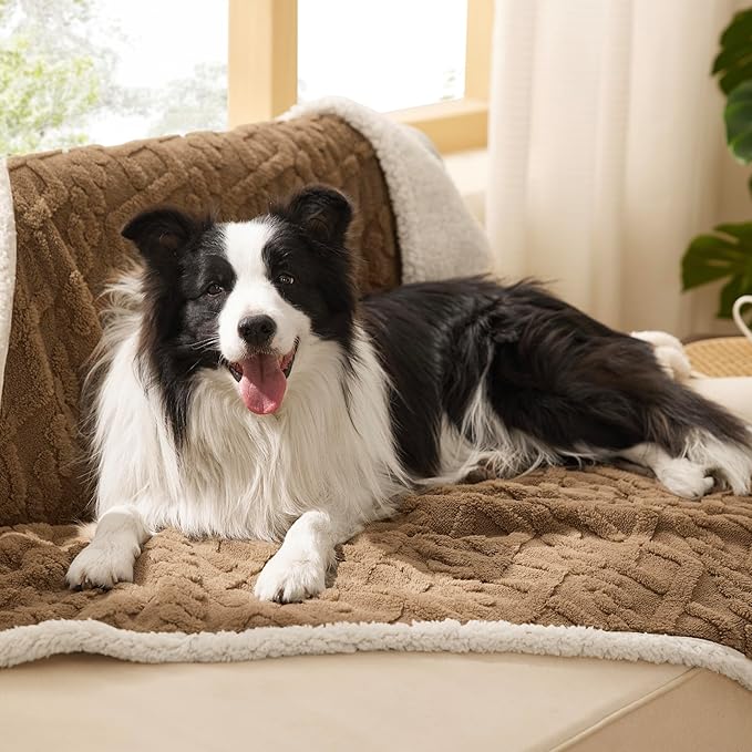 Bedsure Waterproof Dog Blankets for Large Dogs - Pet Blanket for Couch Protector Washable, Premium Jacquard Coral Fleece Cat Throw Blanket, Soft Plush Reversible Furniture Protection,40"x50", Taupe