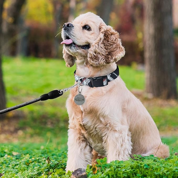 Nylon Dog Collar Soft Neoprene Padded Adjustable Dog Collars for Small Medium Large Dogs (XS Neck 9"-12", Black)