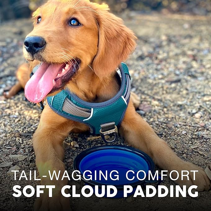 Embark Adventure Dog Harness, Reflective Trim XL Dog Harness for Extra Large Dogs No Pull - Military Grade Nylon, 2 Leash Clips & Gel Lined Handle. Soft & Padded Puppy