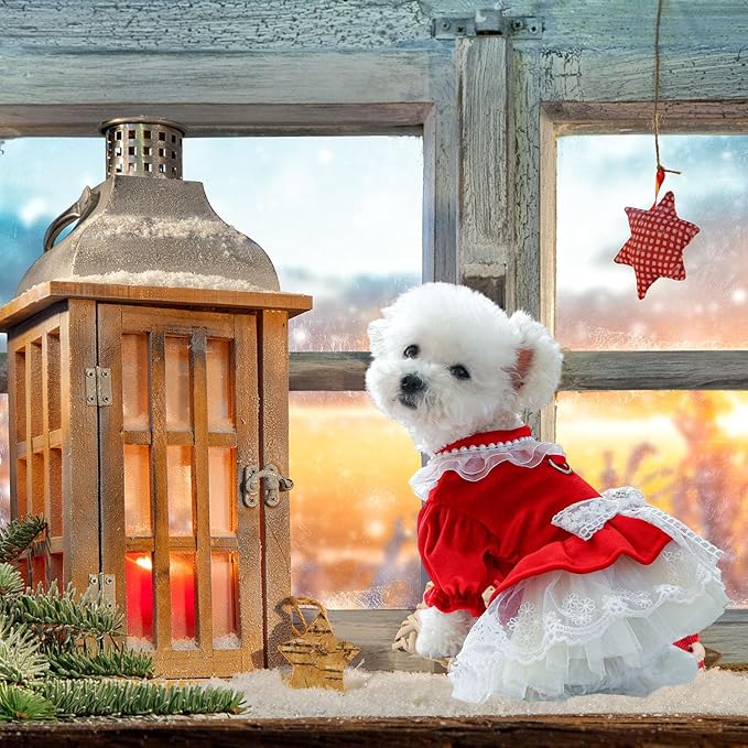 FLAdorepet Dog Christmas Costume Outfits,Red Velvet Small Dog Bowknot Pearl Dress Tutu Skirt, Winter Cat Clothes Pet Apparel(Red Bow, Small)