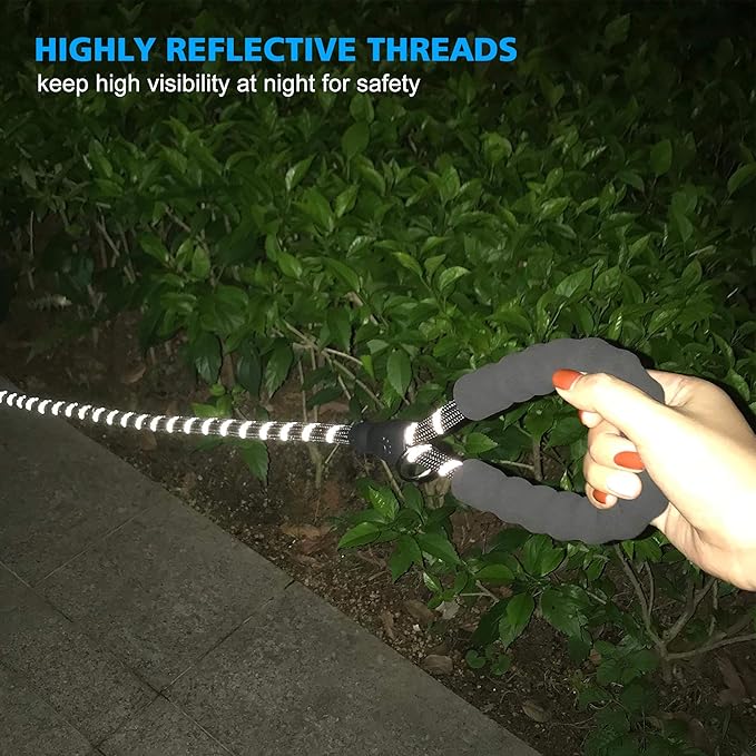 Reflective Dog Collar Padded with Soft Neoprene Breathable Adjustable Nylon Dog Collars for Small Medium Large Dogs (Medium (Pack of 1), Black Collar+Leash)