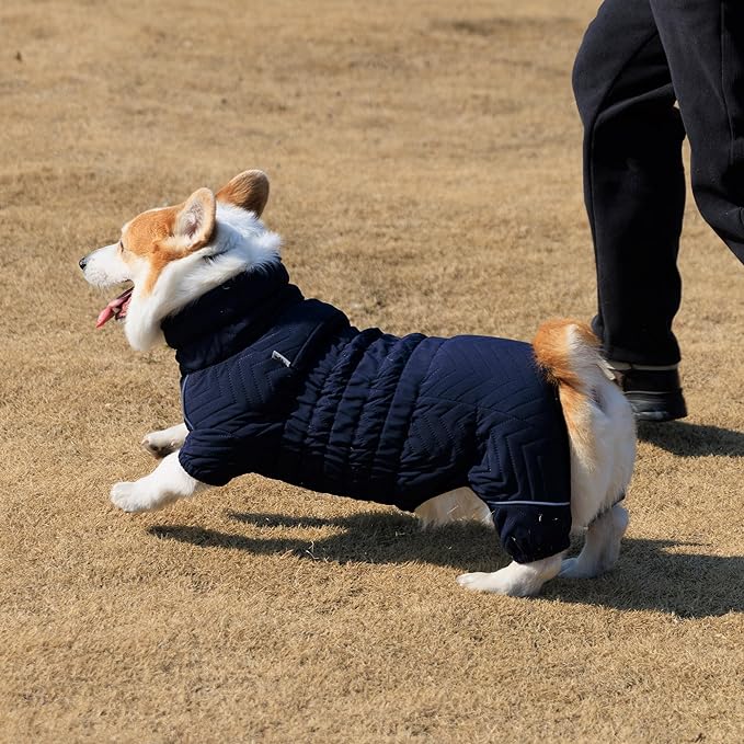Lovelonglong Warm Dog Coat Double Layers Dog Vest, 4 Legs Covered Windproof Waterproof Reflective Warm Dog Vest Outdoor Skating Dog Costume for Corgis Dachshund Dog Navyblue D-S