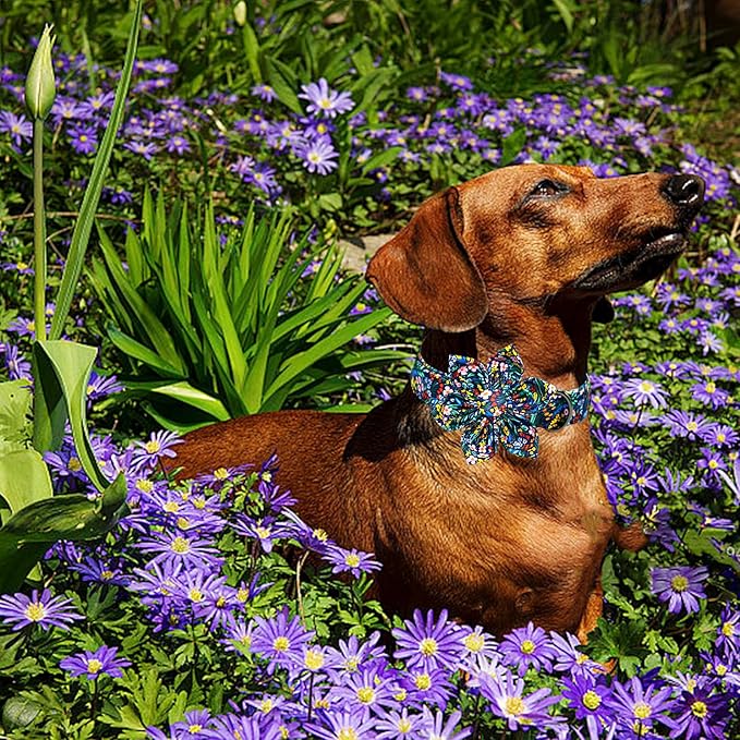 Lionheart glory Dog Collar Darkblue Flower Dog Bow Collars Floral Dog Collar with Flower Male or Female Spring Fall Pet Gift Durable Adjustable Dog Collar for Medium Dogs, B:Garden