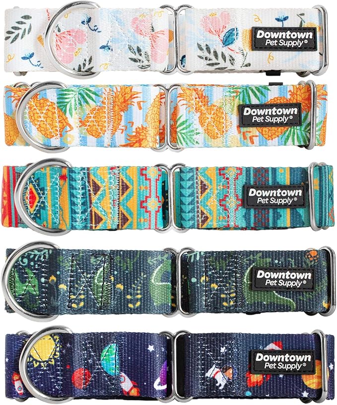 Downtown Pet Supply - Martingale Collar for Dogs - Big, Wide & Thick Dog Training Collar - Escape-Proof, Weatherproof, Durable and Comfortable - Floral - Large