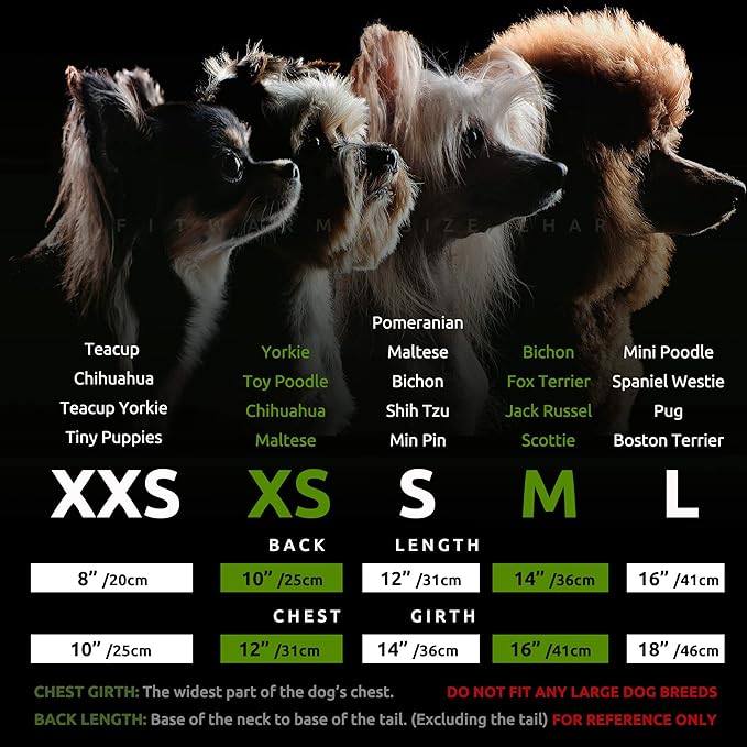 Fitwarm 100% Cotton I'm The Good Witch Halloween Dog Costume Puppy Dress Doggie Party One Piece with Bowknot Pumkin Bat Pet Vest Shirt Holiday Cat Outfits Purple XX-Small