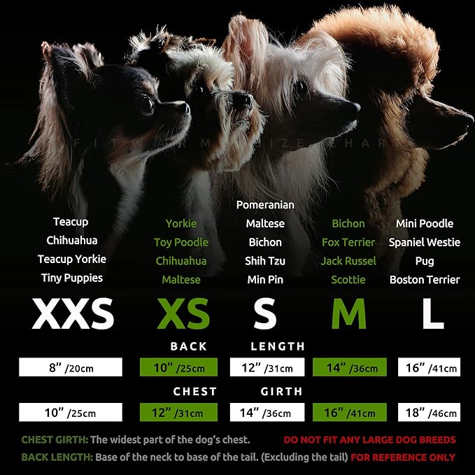 Fitwarm Eggstra Cute Dog Easter Outfit, Bunny Dog Dress, Holiday Dog Clothes for Small Dogs Gril, Pet Cat Clothing, Hot Pink, XS