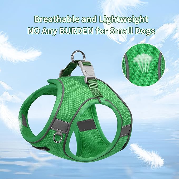 AIITLE Dog Harness No Choke Over, Step in Adjustable Dog Harness with a Leash, Breathable Mesh and Quick-Release Buckle - Outdoor Walking, Training, Running for Medium Dogs Green L