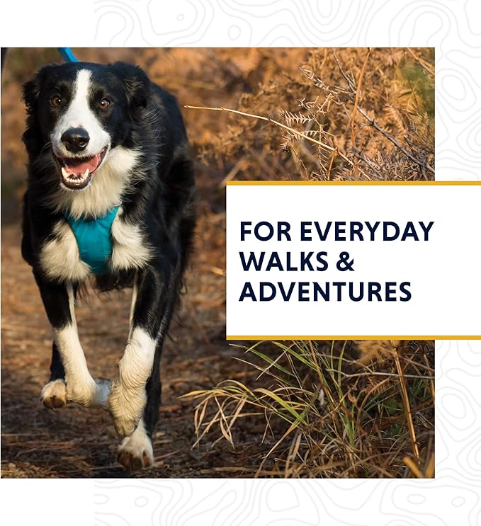 Ruffwear, Front Range Dog Leash, 5 ft Lead with Padded Handle for Everyday Walking, Reef Fish