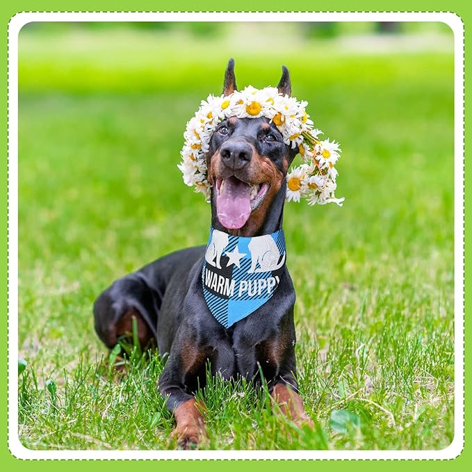 200 Pcs Dog Bandana Bulk Summer Plaid Grooming Pet Bandanas with Cute Sayings for Small to Large Dog Puppy Scarf Spring Holiday Costume Birthday Supplies for Small to Large Cats(Classic Style)