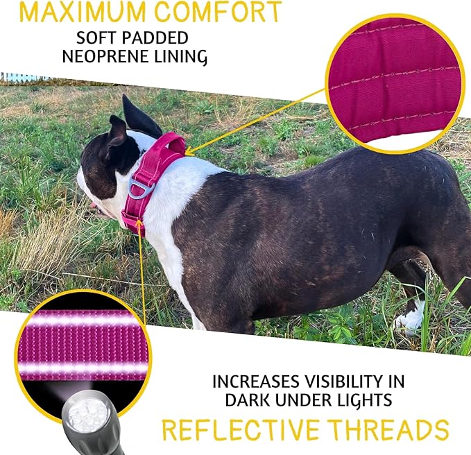 ADITYNA Heavy Duty Dog Collar for Extra-Large Dogs - Reflective Magenta Collar with Handle for Training, and Walking - Wide, Thick, Tactical, Soft Neoprene Padded