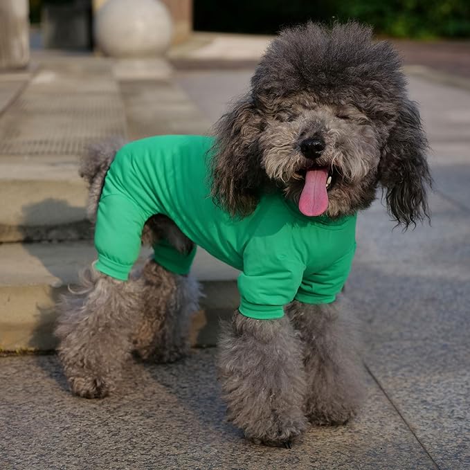 LoveLongLong Dog Jumpsuit with UV Protection and Quick-Dry Fabric for Spring Summer Pet Pajamas Leaf Green M