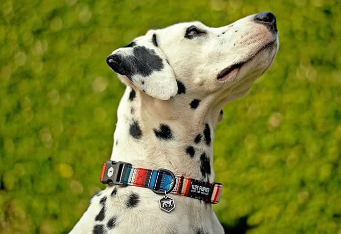 Tuff Pupper Premium Adjustable Dog Collar for Small Boy & Girl Dogs, Stylish Pattern Collars Designed in USA, Quick Release Buckle, SacredTribe Print, Small (0.7 Inch Wide x 8-12 Inch Neck)