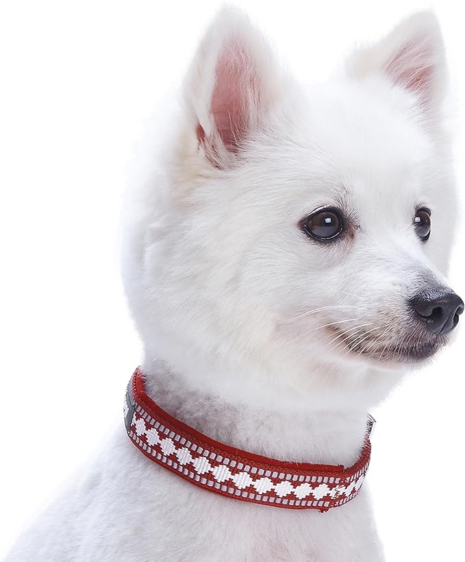 Blueberry Pet Soft & Safe 3M Reflective Jacquard Neoprene Padded Adjustable Dog Collar with Metal Buckle - Marsala Red, Neck 17-20.5", for Large Breed
