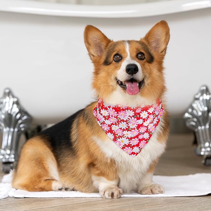 Dog Collars and Bandanas - Soft Adjustable Fancy Floral Boys Girls Puppy Collar for Small Medium Large Dogs.