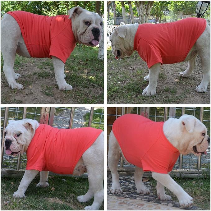 Lovelonglong Bulldog Clothes Dog Clothing Blank T-Shirt Tee Shirts for French Bulldog English Bulldog American Pit Bull Pugs 100% Cotton Skin Care Lobster-Pink B-L
