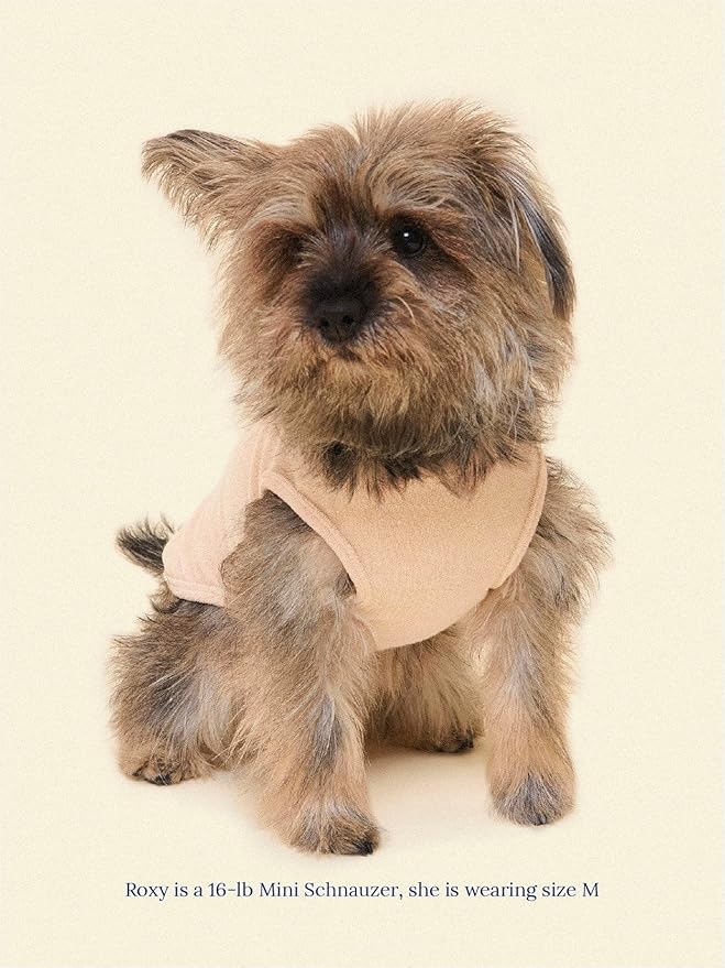 ADEDAS Sleeveless Shirt - Beige XS