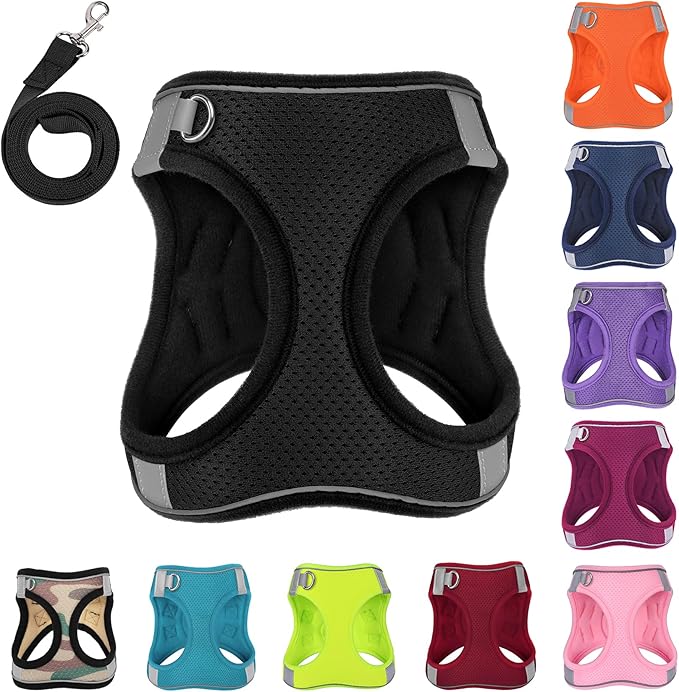 Dog Harness with Leash Set, No-Pull Step-in Reflective Pet Harness with 1 Leash Clips, Adjustable Soft Padded Easy Walk Dog Vest for Small Medium Large Dogs, Cats(Carbon Black, Small)