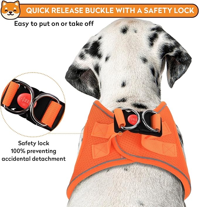 Dog Harness with Leash Set, No-Pull Step-in Reflective Pet Harness with 1 Leash Clips, Adjustable Soft Padded Easy Walk Dog Vest for Small Medium Large Dogs, Cats(Bright Orange, Small)