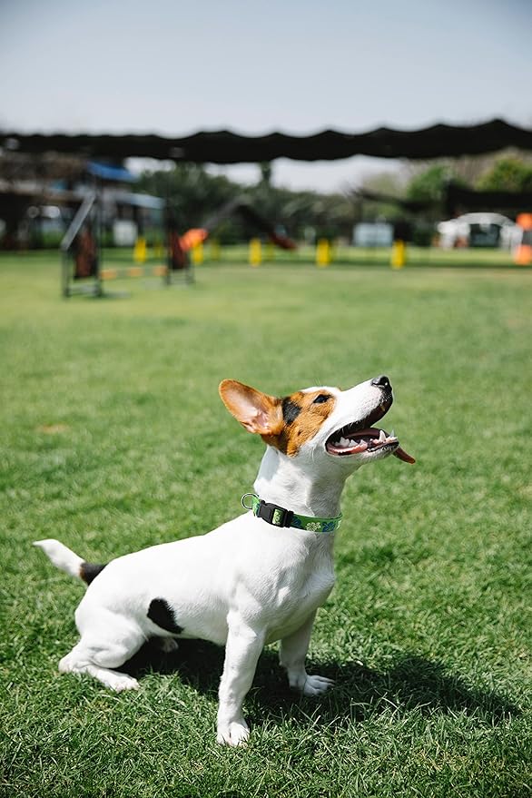 Dog Collar, Cute Floral Pattern, Soft and Adjustable Collar with Quick Release Buckle (S (Neck 11-18", Width 5/8"), Hawaiian Green)