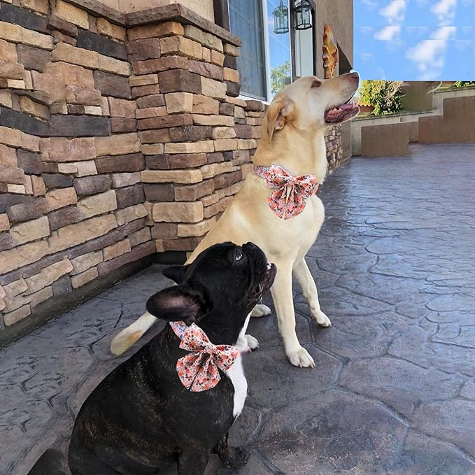 Unique style paws Dog Collar with Tie Adjustable Pink Bowtie Puppy Collars for Small Medium Large Dogs and Cats-S